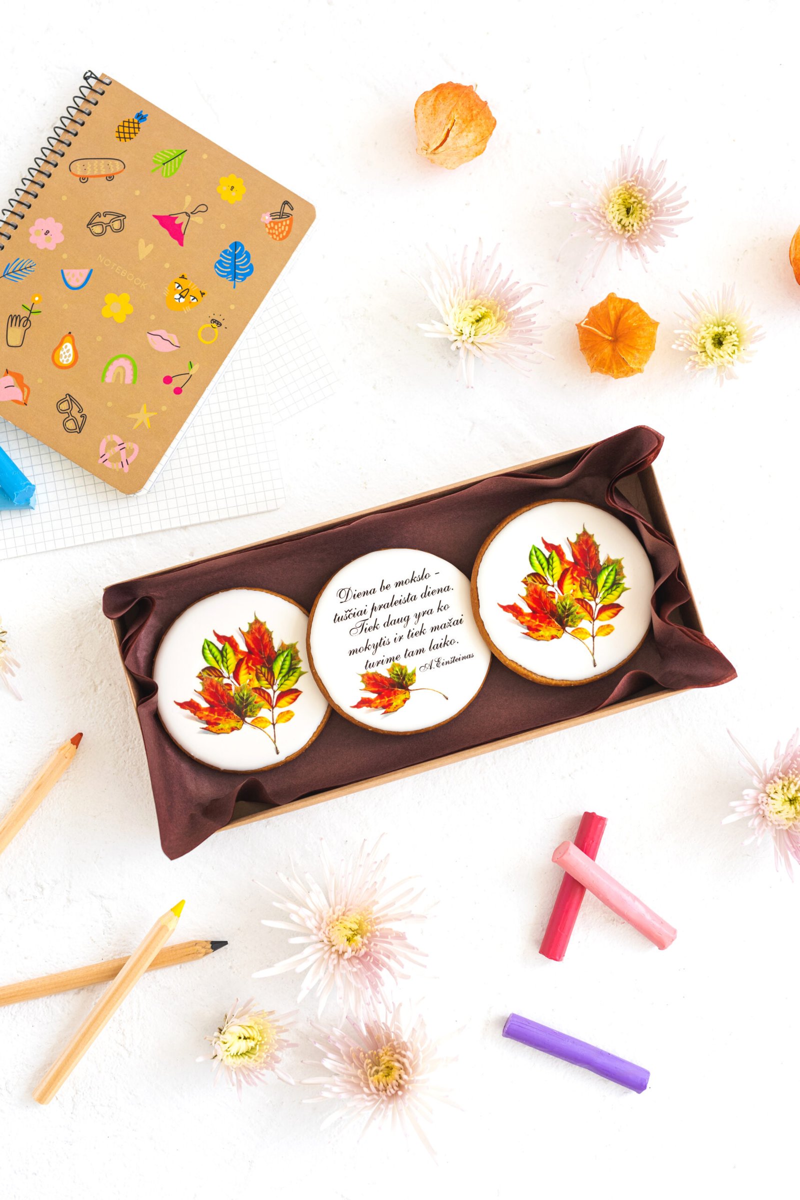 Dekoruoti meduoliniai sausainiai "Mokykla" M3.