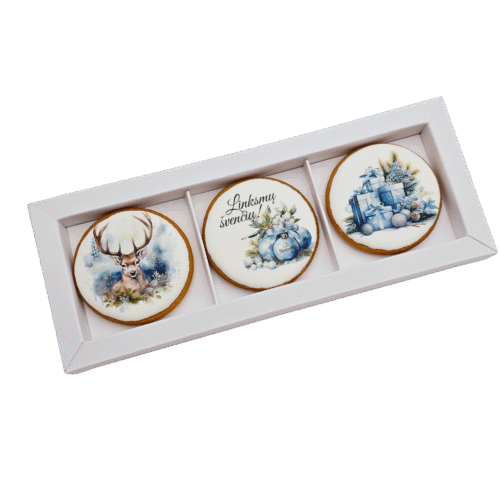 „Dekoruotų sausainių rinkinys“ R1, 3 vnt.