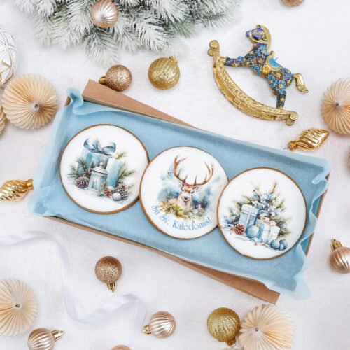 Dekoruotų meduolinių sausainių rinkinys „Kalėdos” K35, 3vnt.