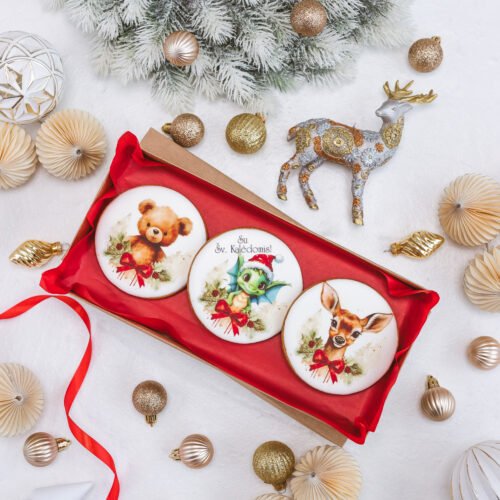 Dekoruotų meduolinių sausainių rinkinys „Kalėdos” K24, 3vnt.