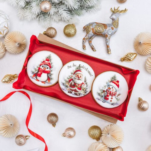 Dekoruotų meduolinių sausainių rinkinys „Kalėdos” K25, 3vnt.