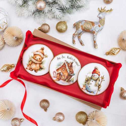 Dekoruotų meduolinių sausainių rinkinys „Kalėdos” K26, 3vnt.