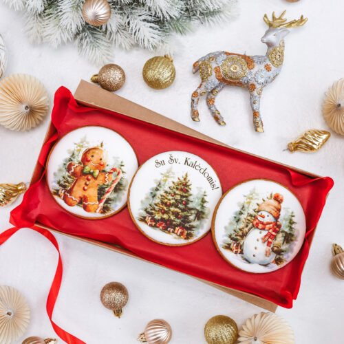 Dekoruotų meduolinių sausainių rinkinys „Kalėdos” K28, 3vnt.