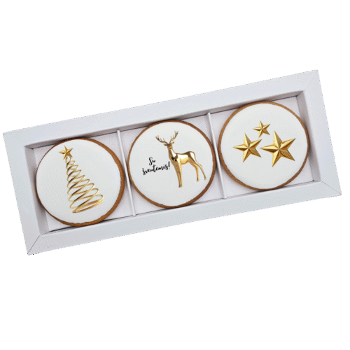 Dekoruoti meduoliniai sausainiai „Kalėdos” K61, 3vnt.