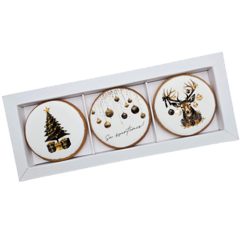 Dekoruoti meduoliniai sausainiai „Kalėdos” K64, 3vnt.