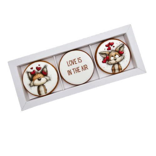 Dekoruoti meduoliniai sausainiai „Valentino diena” V37, 3vnt.