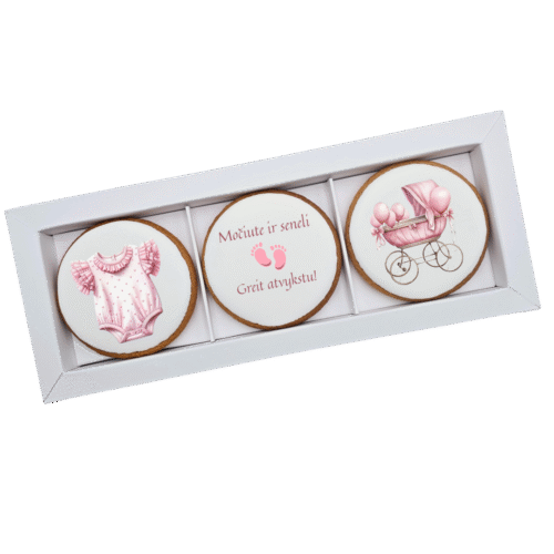 Dekoruoti meduoliniai sausainiai „Vaikelio atvykimas” 2