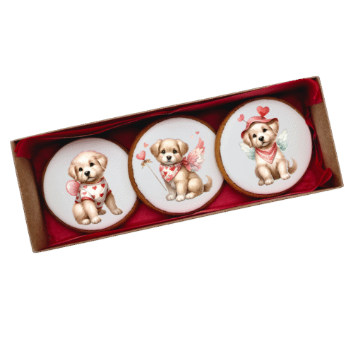 Dekoruotų meduolinių sausainių rinkinys „Valentino diena” V21, 3vnt.