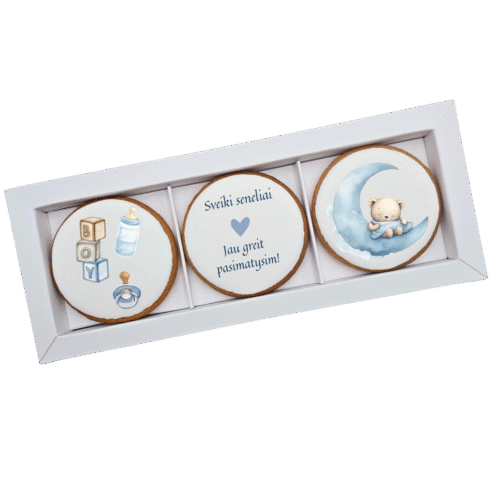 Dekoruoti meduoliniai sausainiai „Vaikelio atvykimas” 1