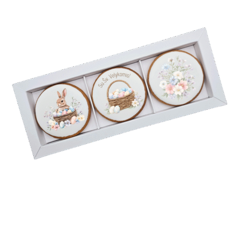 Dekoruoti meduoliniai sausainiai „Velykos1“ 3vnt.