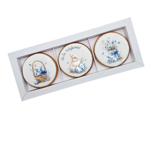 Dekoruoti meduoliniai sausainiai „Velykos2“ 3vnt.