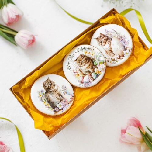 Dekoruoti meduoliniai sausainiai „Velykos24“ 3vnt.