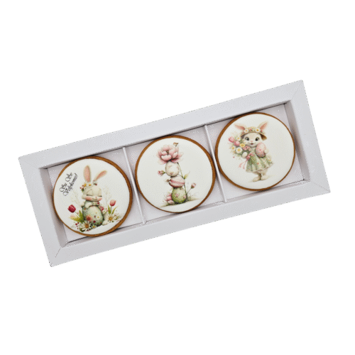 Dekoruoti meduoliniai sausainiai „Velykos15“ 3vnt.